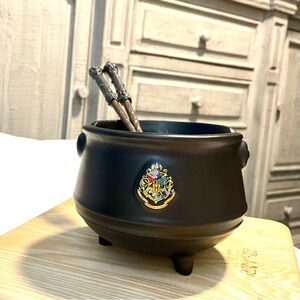 *EUC* Harry Potter Hogwarts Cauldron Ramen Bowl & Wand Chopsticks - Ceramic